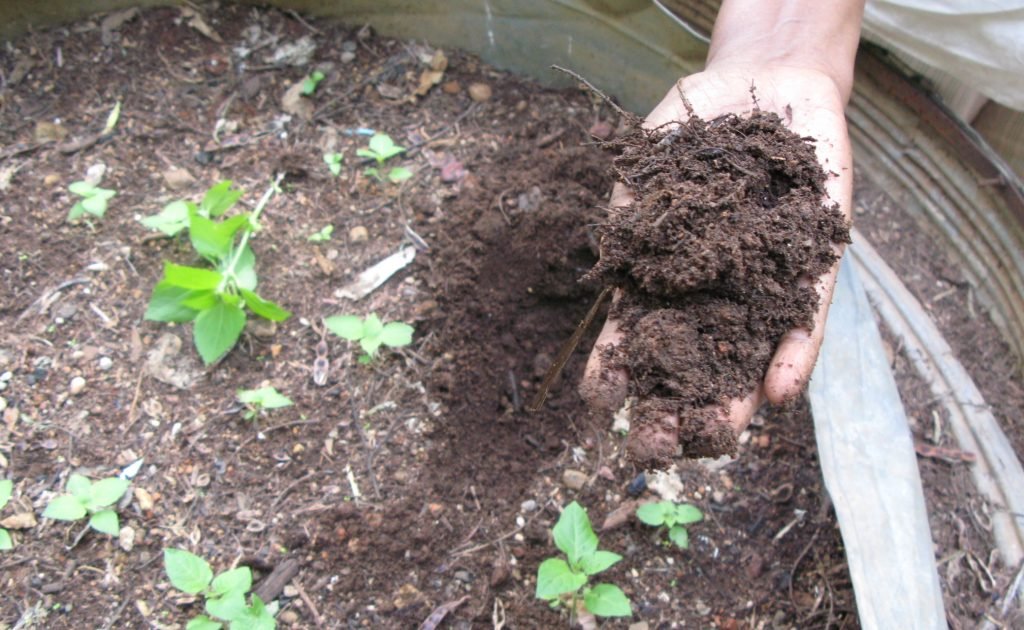 Claves Para El Compostaje Casero La Huerta De Ivan